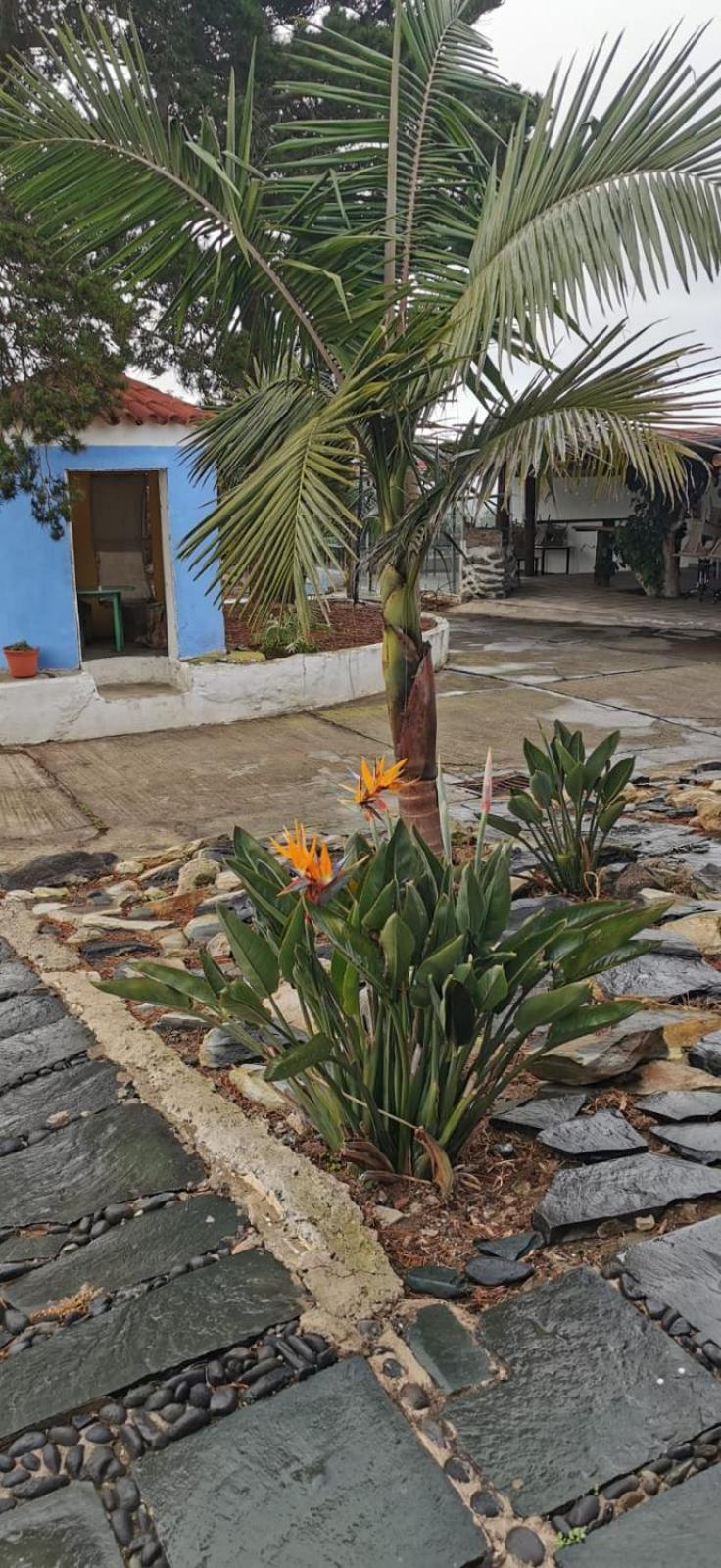 Casa La Caldera Βίλα Firgas Δωμάτιο φωτογραφία