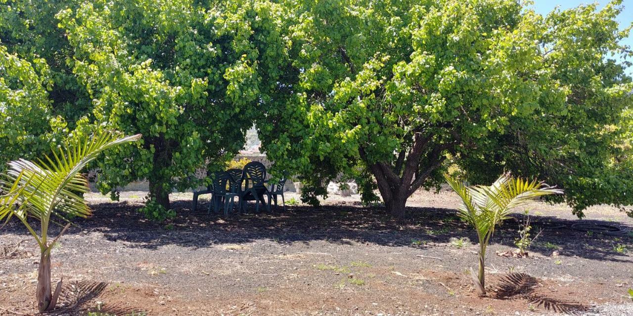 Casa La Caldera Βίλα Firgas Εξωτερικό φωτογραφία